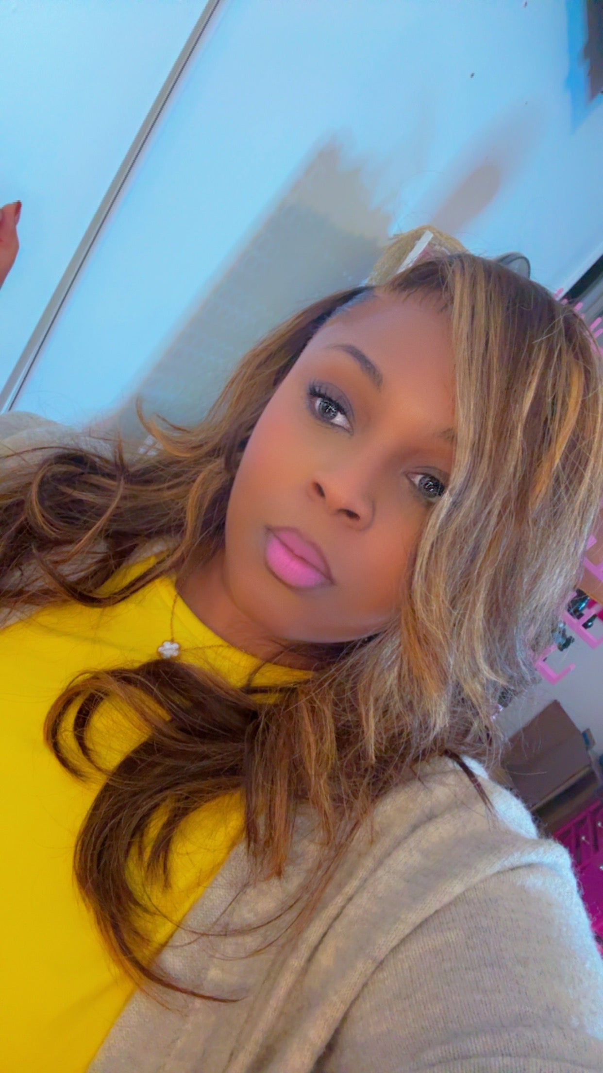 Transparent Ombre Brown/#613 Highlighted Wig